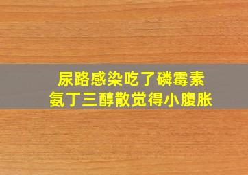 尿路感染吃了磷霉素氨丁三醇散觉得小腹胀