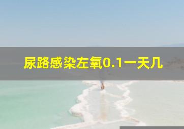 尿路感染左氧0.1一天几