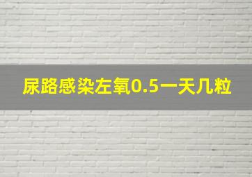 尿路感染左氧0.5一天几粒