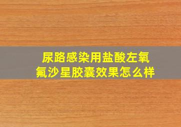 尿路感染用盐酸左氧氟沙星胶囊效果怎么样