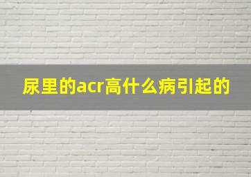 尿里的acr高什么病引起的