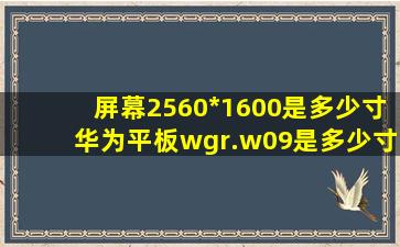 屏幕2560*1600是多少寸华为平板wgr.w09是多少寸