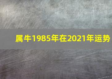 属牛1985年在2021年运势