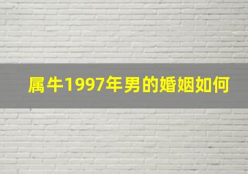 属牛1997年男的婚姻如何