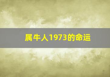 属牛人1973的命运