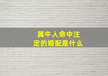 属牛人命中注定的婚配是什么