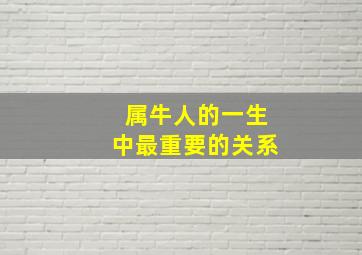 属牛人的一生中最重要的关系