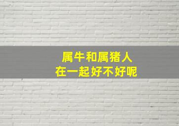 属牛和属猪人在一起好不好呢