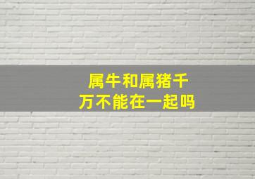 属牛和属猪千万不能在一起吗