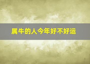 属牛的人今年好不好运