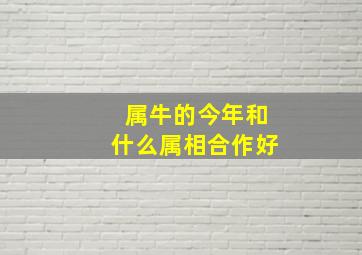 属牛的今年和什么属相合作好