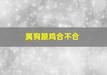 属狗跟鸡合不合