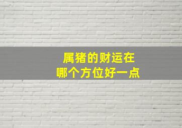 属猪的财运在哪个方位好一点