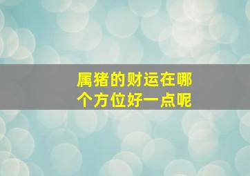 属猪的财运在哪个方位好一点呢