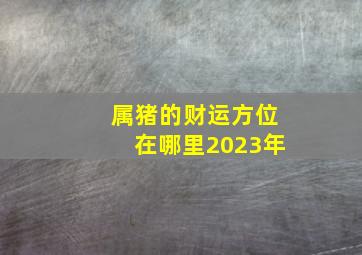 属猪的财运方位在哪里2023年