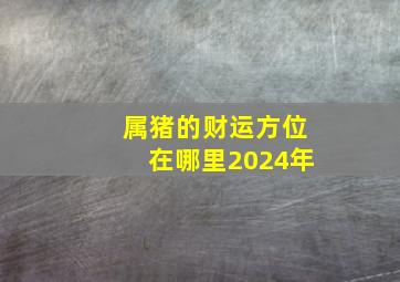 属猪的财运方位在哪里2024年