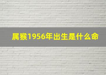 属猴1956年出生是什么命