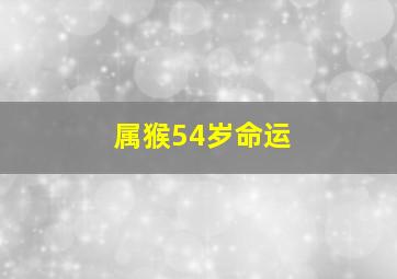 属猴54岁命运