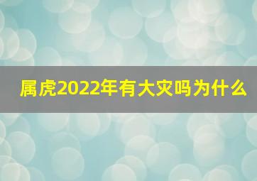 属虎2022年有大灾吗为什么