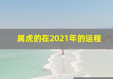 属虎的在2021年的运程