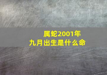 属蛇2001年九月出生是什么命