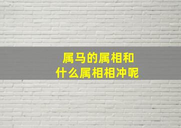 属马的属相和什么属相相冲呢