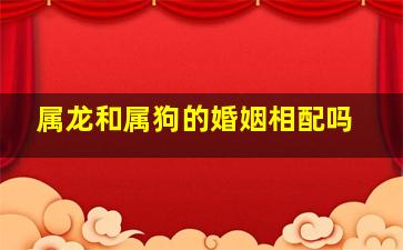 属龙和属狗的婚姻相配吗