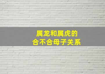 属龙和属虎的合不合母子关系