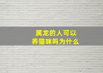 属龙的人可以养猫咪吗为什么