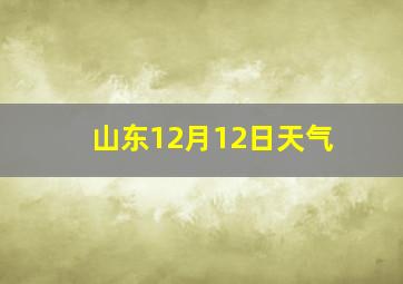 山东12月12日天气