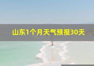 山东1个月天气预报30天