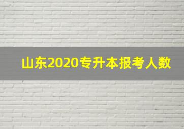 山东2020专升本报考人数