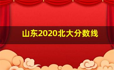 山东2020北大分数线