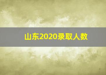 山东2020录取人数