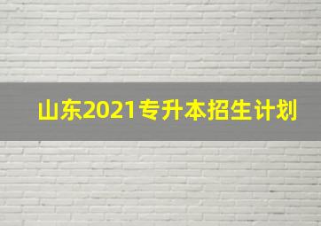 山东2021专升本招生计划