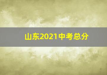 山东2021中考总分