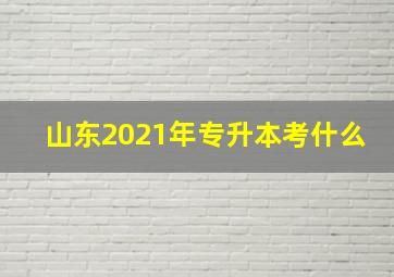 山东2021年专升本考什么