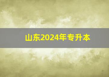 山东2024年专升本