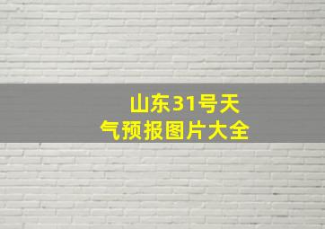 山东31号天气预报图片大全