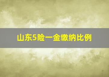 山东5险一金缴纳比例