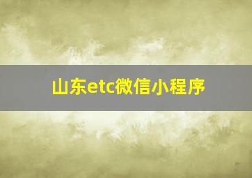 山东etc微信小程序