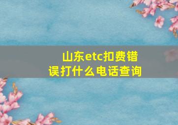 山东etc扣费错误打什么电话查询