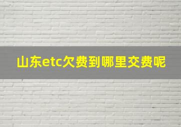 山东etc欠费到哪里交费呢