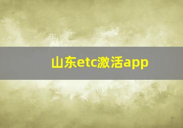 山东etc激活app