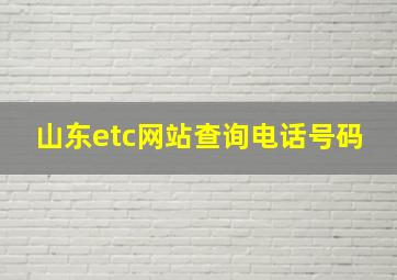 山东etc网站查询电话号码