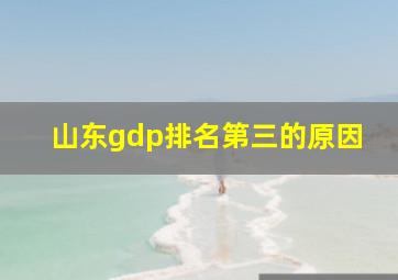 山东gdp排名第三的原因