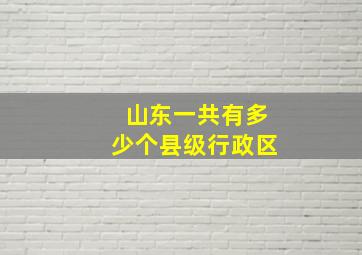 山东一共有多少个县级行政区