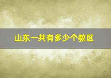 山东一共有多少个教区