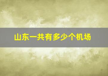 山东一共有多少个机场