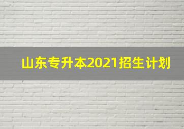 山东专升本2021招生计划